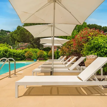 Maison d'hôtes La Collina Degli Ulivi