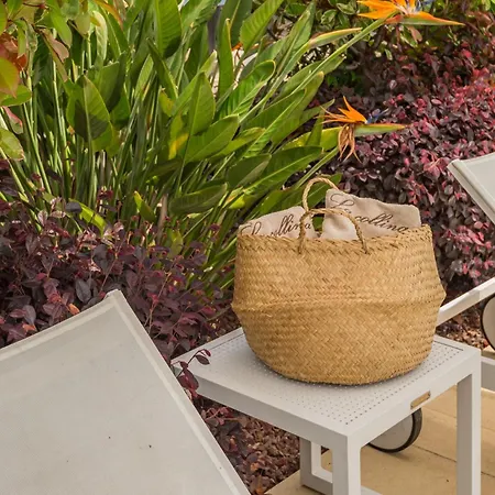 La Collina Degli Ulivi Maison d'hôtes