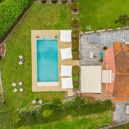 La Collina Degli Ulivi Maison d'hôtes