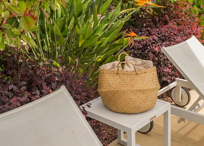 La Collina Degli Ulivi Konukevi